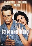 Cat on a Hot Tin Roof Cat on a Hot Tin Roof