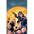 Birds of Prey Vol. 4: The Battle Within
