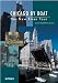 Chicago by Boat: The New River Tour