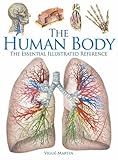The human body : the essential illustrated reference