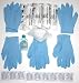 H1N1, Swine Flu, Pandemic Flu Preparedness Kit w/ N95 Respirator Masks & Nitrile Gloves. !!!! VALUE PACK DOUBLE QUANTITY !!!!