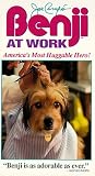 Benji at Work [VHS] [1980]