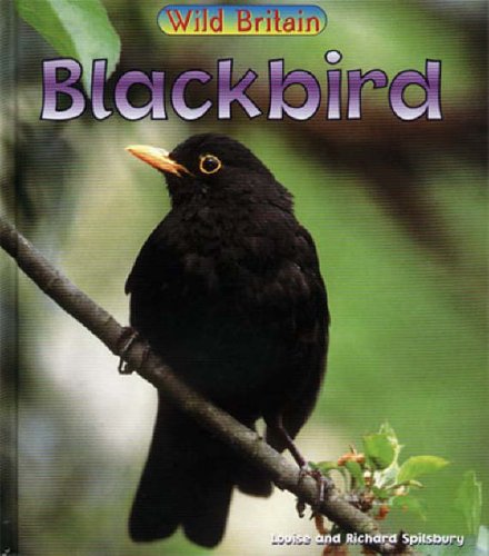 Blackbird (Wild Britain: Animals)