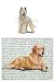 Briard Glass Cutting Board