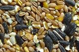Ruddings Wood 25kg Wild Bird Seed / Bird Food