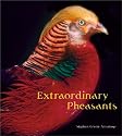 Extraordinary Pheasants