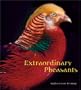 Extraordinary Pheasants