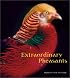 Extraordinary Pheasants