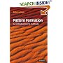 Pattern Formation: An Introduction to Methods (Cambridge Texts in Applied Mathematics)
