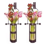 Set of 2 Wall Mount Glass Vases with Metal Cradle and Hanging Hook