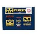 University of Michigan Wolverines Tailgate Party Pack