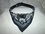 Hundehalsband mit Tuch in Schwarz