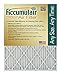Accumulair® Gold 17x22x1 (16.5x21.5) MERV 8 Air Filter/Furnace Filters (4 pack)