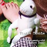 Tickle Tickle - three-weeks-old lovesick puppy
