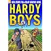Hardy Boys #19: Chaos at 30,000 Feet! (Hardy Boys Graphic Novels (Papercutz Paperback))