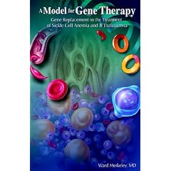 A MODEL FOR GENE THERAPY