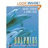Dolphins and Their Power to Heal