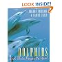 Dolphins and Their Power to Heal