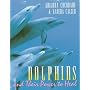 Dolphins and Their Power to Heal