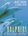 Dolphins and Their Power to Heal