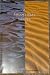 A Middle East Reader: Selected Essays on the Middle East from NY Review of Books