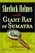 Book Sherlock Holmes and the Giant Rat of Sumatra