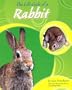 The Life Cycle of a Rabbit (Life Cycles (Peeble Books/Capstone))