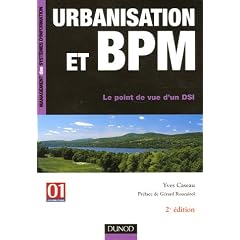 Urbanisation et BPM : Le point de vue d'un DSI