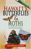 Hawaii's Butterflies and Moths (A Hawaii Biological Survey handbook)