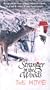 Stranger in the Woods [VHS]