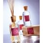 Alora Ambiance ROSA Reed Diffuser - 16 oz