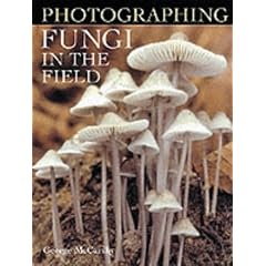 Photographing Fungi in the Field