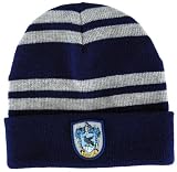 Ravenclaw House Beanie