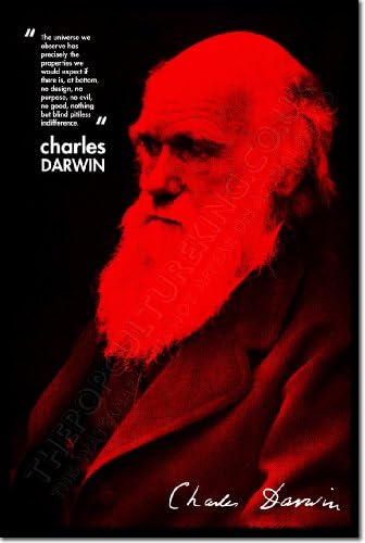 Charles Darwin Art Print Photo Poster 12x8 Inch Unique Gift Quote