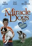Miracle Dogs [VHS]