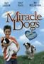 Miracle Dogs [VHS]