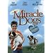 Miracle Dogs [VHS]