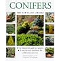 Conifers (New Plant Library)