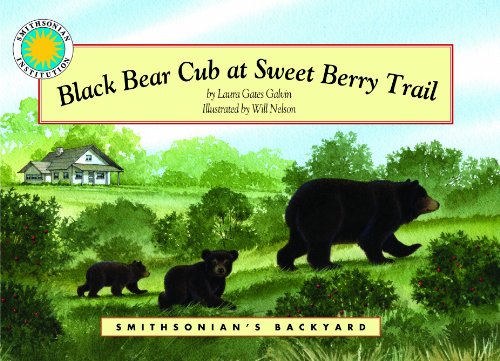 Black Bear Cub at Sweet Berry Trail - a Smithsonian's Backyard Book