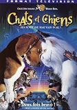 Chats Et Chiens