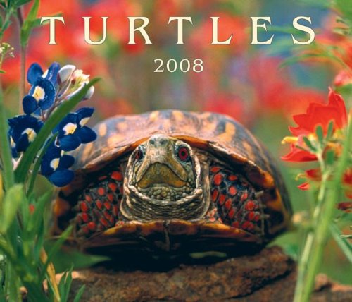 turtles 2008