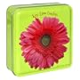 Byrd Cookie Company, Key Lime - Garden Party, 6-Ounce Tin (Pack of 3)