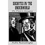 Socrates in the Underworld: On Plato's Gorgias