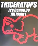 TRICERATOPS Artist Book「It's Gonna Be All Right!」-