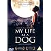 My Life As A Dog [1985] [DVD]
