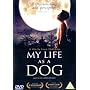 My Life As A Dog [1985] [DVD]