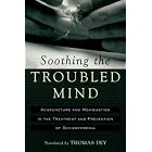 Soothing the Troubled Mind: Acupuncture and Moxibustion in the Treatment and Prevention of... by  Baiceng Lou, Pai-Tseng Lou, Thomas Dey, and Richard Warner