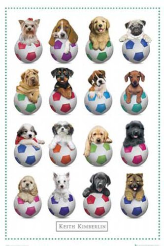 1art1 Empire 376206 Keith Kimberlin - Football Dogs - Hunde Poster Druck - 61 x 91.5 cm