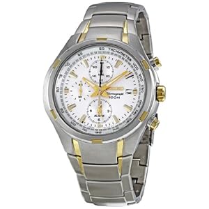 Seiko Men's SNAE42 Multifunction Stainless Steel Chronograph Silver Dial Watch (Watch)