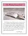 The Wedding Savings Guide